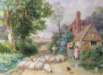 Shepherd och hans flock passerar en lantstuga